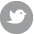 Tweet